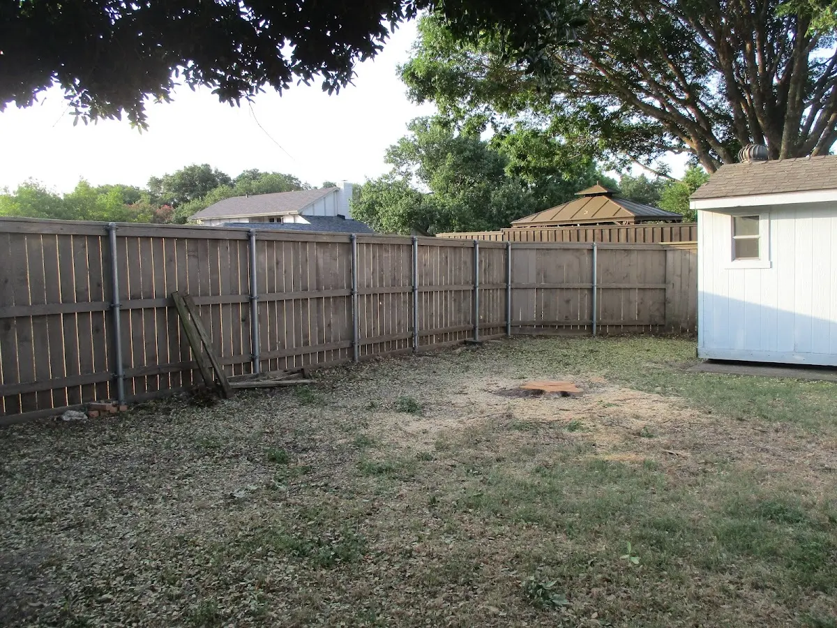 Cleared yard after professional tree removal in Brainard