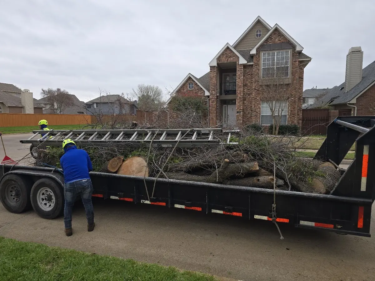 Expert Lot Clearing with proper safety equipment in Brainard
